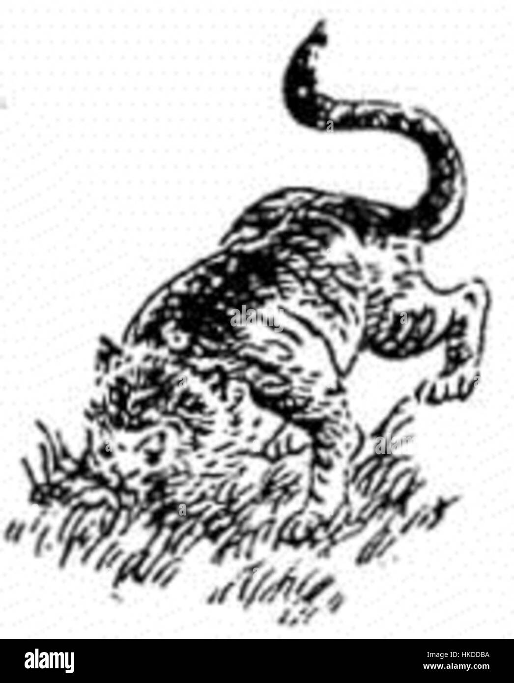 Un pezzo intitolato "TBT 50" è un'opera d'arte che esplora temi storici, catturando un momento di un'epoca passata attraverso un dipinto ad olio espressivo. Il suo stile vintage e l'estetica antica evocano un senso di nostalgia e riverenza per la storia. Foto Stock