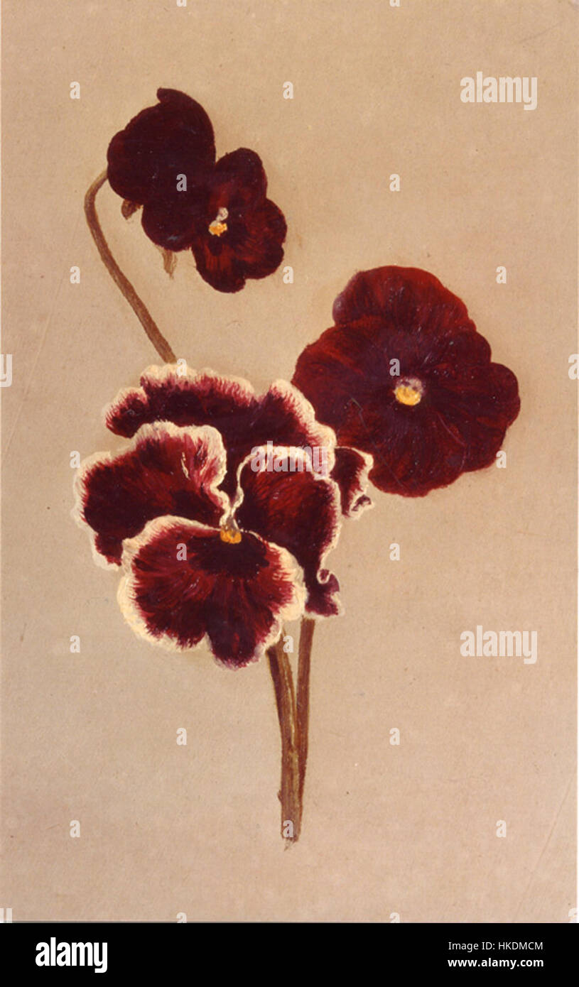 *Estudio de Pensamientos* di José María Velasco è un'opera che riflette i pensieri introspettivi dell'artista, nota per i suoi paesaggi dettagliati e le raffigurazioni di paesaggi messicani durante il XIX secolo. Foto Stock