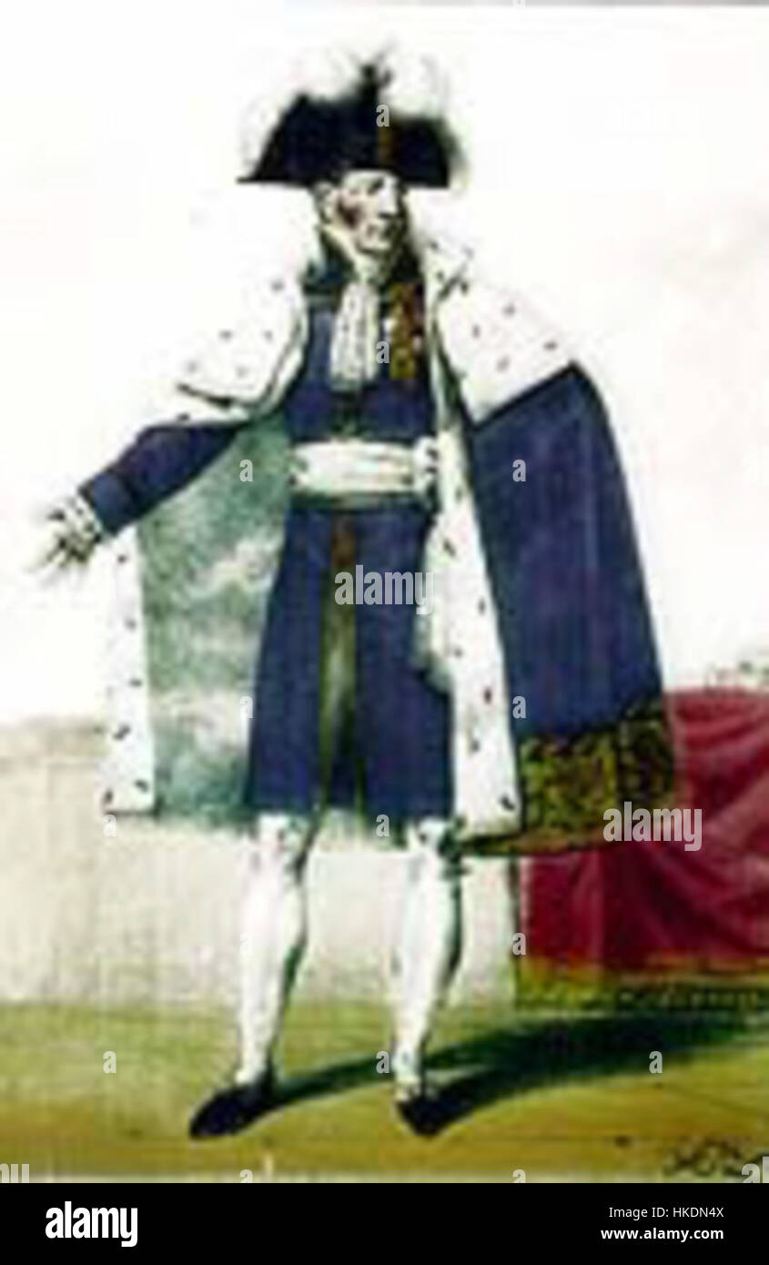 "Costume de pair de France" è un dipinto storico che rappresenta l'abbigliamento indossato da un nobile durante il periodo della Restaurazione francese, all'inizio del XIX secolo, che mostra l'elaborato stile del tempo. Foto Stock