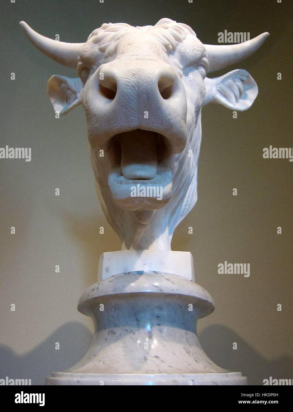 Questa opera d'arte presenta una rappresentazione potente e dettagliata della testa di un toro, che enfatizza la forza e la maestosità dell'animale, tipica degli studi sugli animali classici nell'arte. Foto Stock