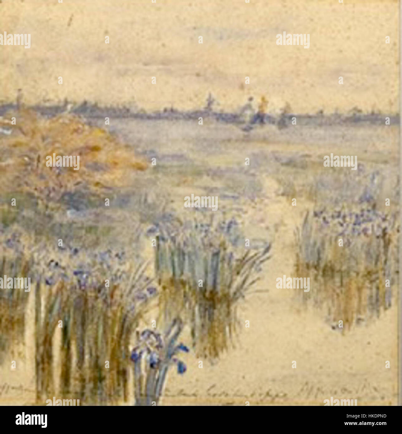 Questo dipinto del 1908 di John P. Pemberton raffigura una vivace mostra di Iris della Louisiana, che mostra l'abilità dell'artista nel catturare la delicata bellezza di questi fiori nativi. Il lavoro enfatizza lo stile botanico dettagliato di Pemberton. Foto Stock