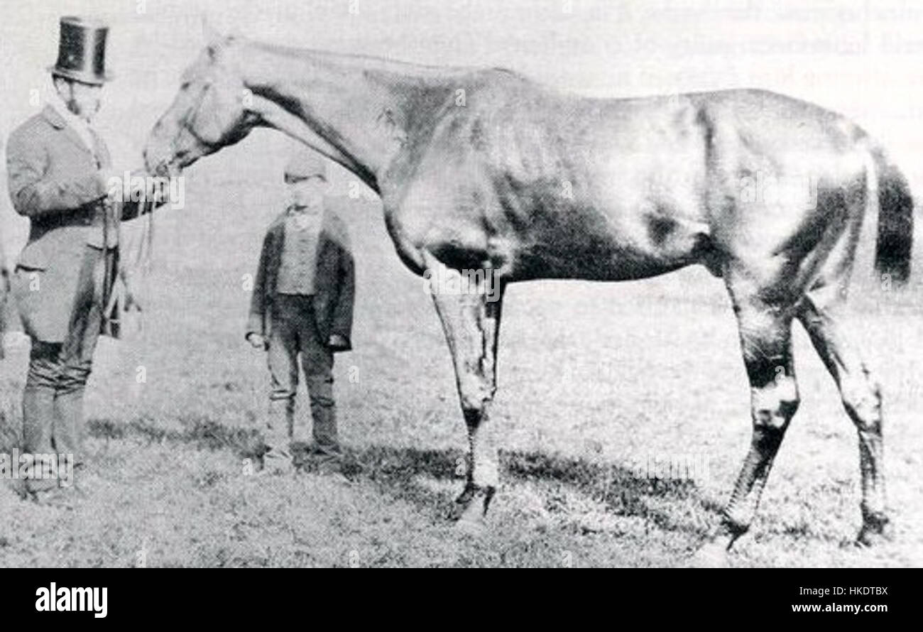 Il dipinto di *Wild Dayrell* cattura il momento della vittoria in una prestigiosa corsa di Derby, mostrando la velocità e la grazia del cavallo vincente, un momento iconico nel mondo delle corse di cavalli. Foto Stock