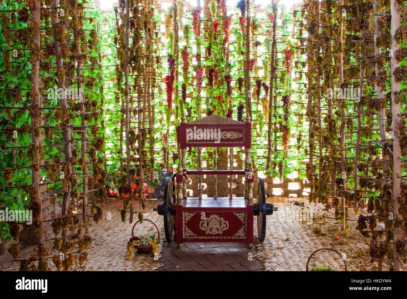 Bella pergola. Villaggio Turpan, Regione Autonoma Xinjiang, Cina. Foto Stock