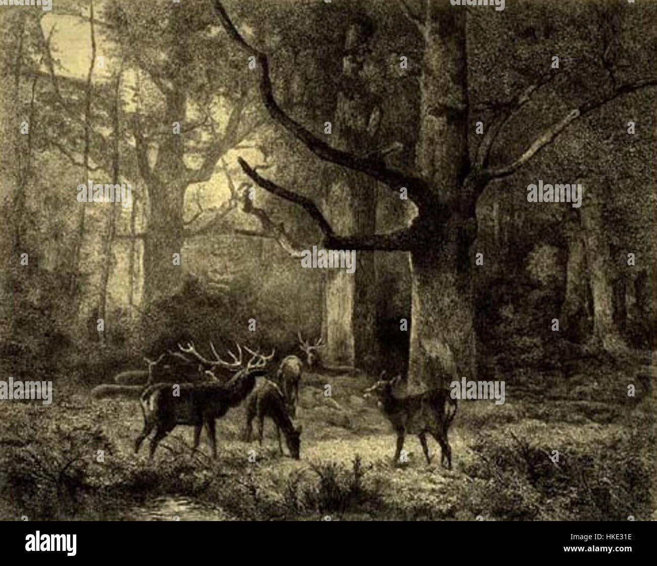 Il *Foret de Fontainebleau* di Carl Bodmer (circa 1850) raffigura la famosa foresta francese, conosciuta per i suoi alberi fitti e l'atmosfera tranquilla. Il dipinto riflette la capacità di Bodmer di catturare paesaggi naturali, portando l'attenzione sulla bellezza e la profondità della foresta. Foto Stock