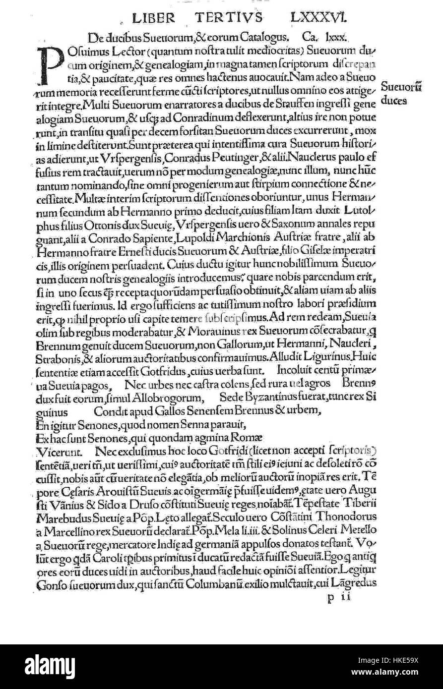 Questo pezzo intitolato "Irenicus LXXXVI" è un'opera d'arte che combina elementi storici e artistici. L'uso di texture e colore da parte dell'artista rappresenta una narrazione più profonda dell'epoca in cui è stato creato, contribuendo ai temi più ampi delle arti visive Foto Stock