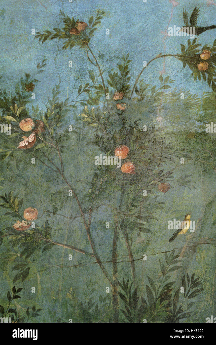 La Villa di Livia a Roma presenta splendidi affreschi raffiguranti un rigoglioso giardino con un melograno. Situati sulla parete nord della villa, questi vibranti affreschi sono un esempio chiave di pittura murale romana, che mostra l'abilità e l'arte degli antichi artisti romani. Foto Stock