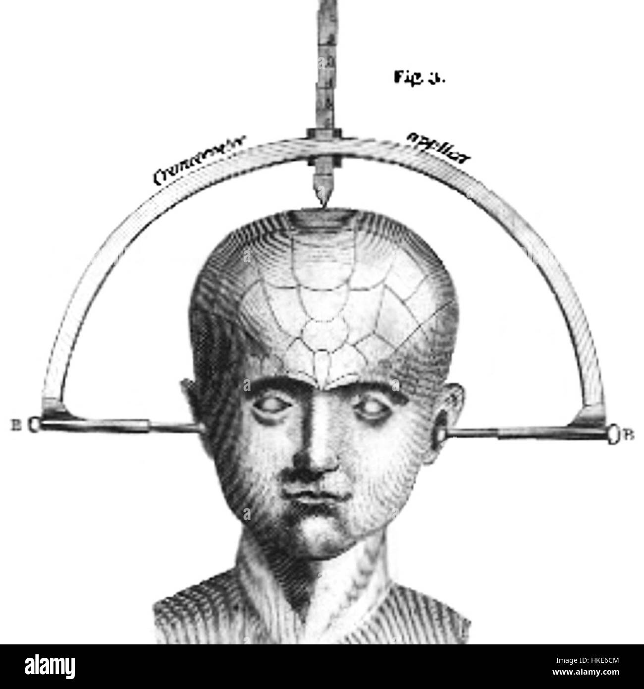Kraniologie è un termine che si riferisce allo studio del cranio umano, spesso nel contesto della frenologia o dell'antropologia. Questa opera è una rappresentazione dello studio anatomico e scientifico del cranio, incorporando elementi di illustrazione scientifica e arte medica del XIX secolo. Foto Stock