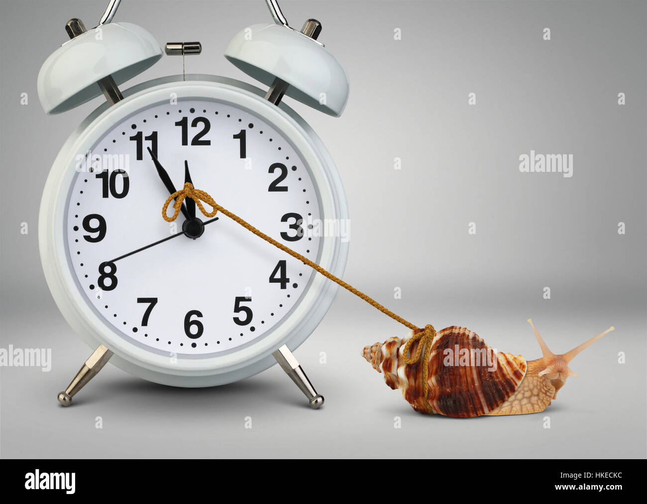 Snail tirando orologio, tempo di concetto di gestione Foto Stock