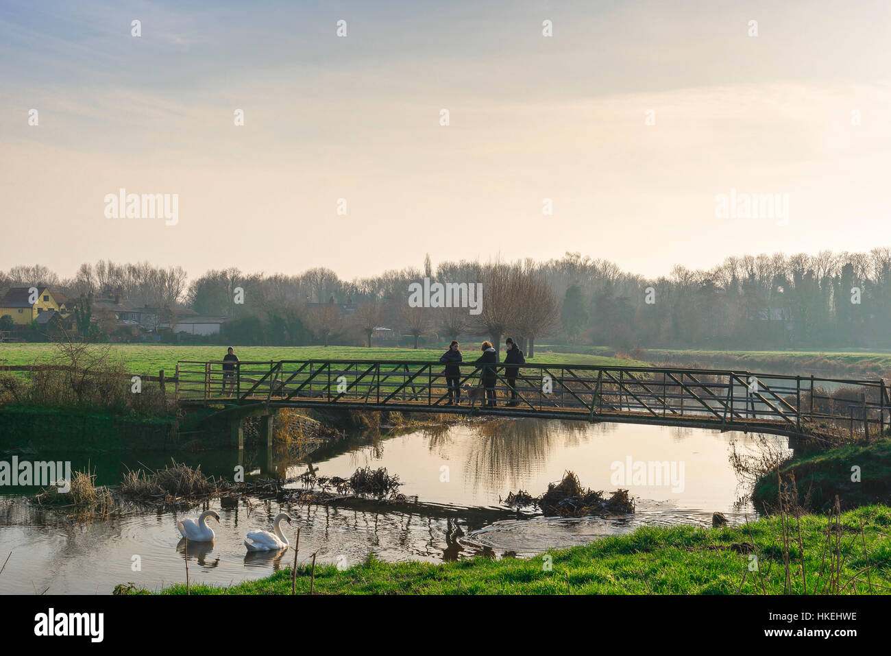 Sudbury Suffolk, chattare su un ponte sul fiume Stour in acqua prati a Sudbury nel Suffolk, nel distretto di Babergh, UK. Foto Stock