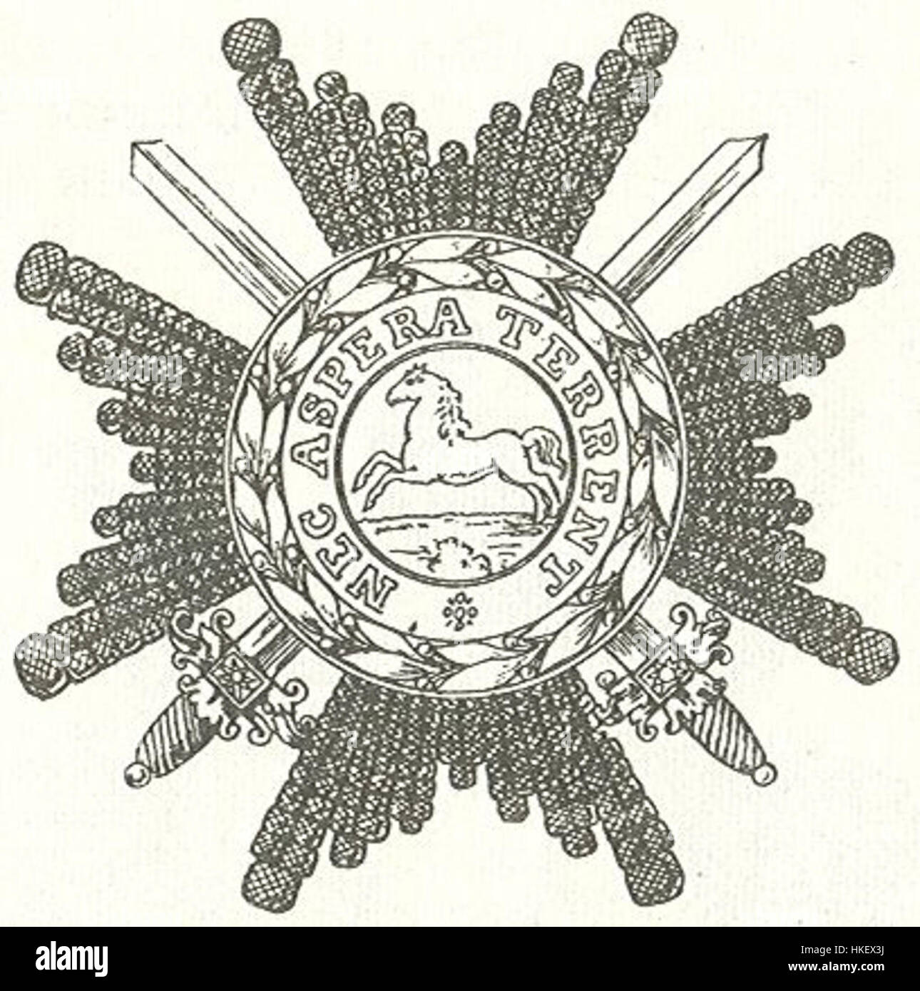 Questo pezzo storico raffigura le insegne stellari di un Comandante di prima classe con spade nell'ordine dei Welfen, un riconoscimento distinto della dinastia Welfen. Foto Stock