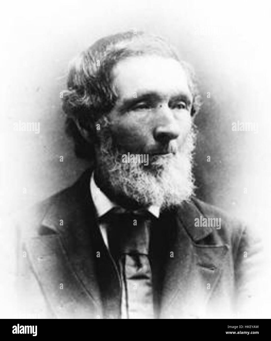 Un ritratto di William Herndon, un politico e uomo d'affari americano, catturato in uno stile vintage che riflette il significato storico della sua epoca. Foto Stock