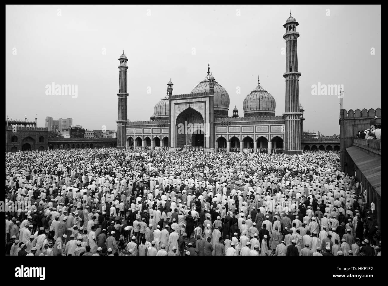 Su Eid al-Fitr una schiera di devoti musulmani che offrono le loro preghiere alla Jama Masjid di Delhi Foto Stock