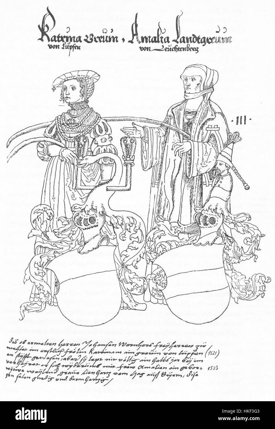 Il Codex 593a, attribuito a Wilhelm Werner, è un manoscritto medievale contenente importanti scritti storici e scientifici. L'intricata scrittura e le illustrazioni del codice forniscono preziose informazioni sul pensiero medievale, le conoscenze scientifiche e le tecniche artistiche del periodo, conservate in una stimata collezione di manoscritti. Foto Stock