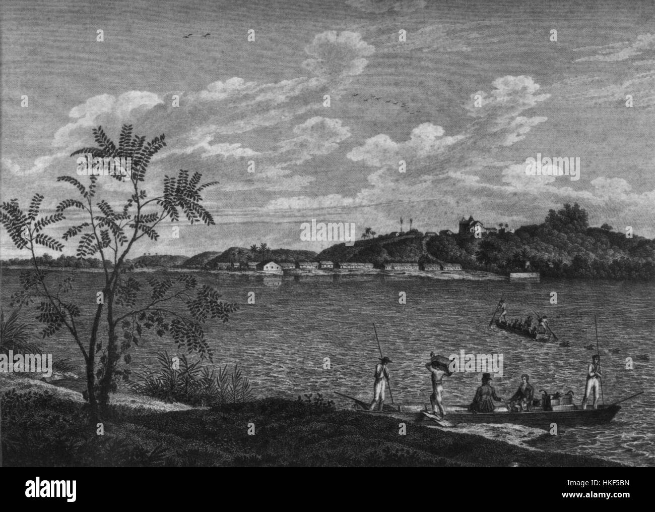 Un dipinto di Friedrich Sellow, raffigurante il paesaggio di Bahia. Il lavoro di Sellow cattura l'atmosfera tropicale, mettendo in risalto la flora lussureggiante e i colori vivaci tipici dell'ambiente della regione. Foto Stock
