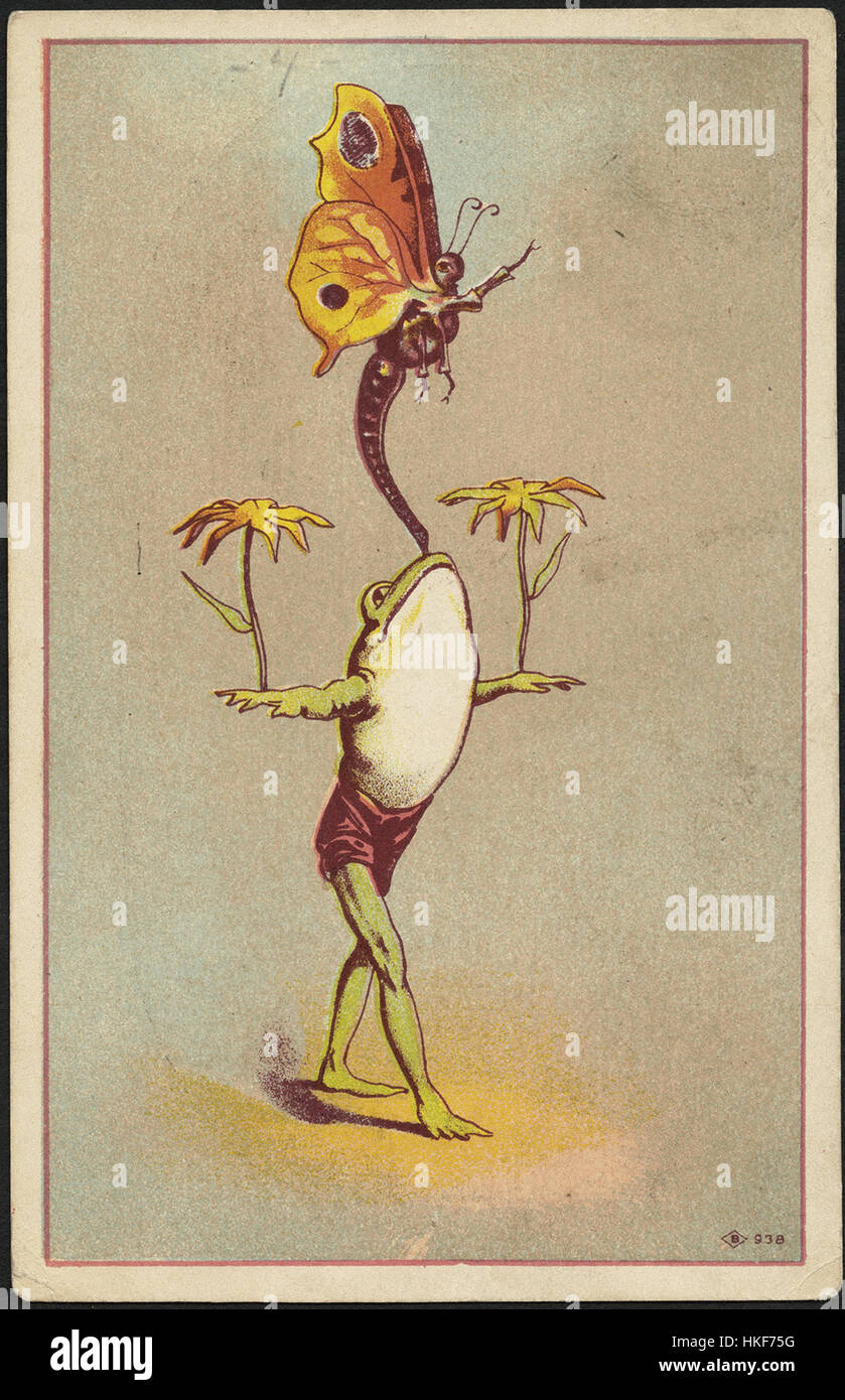 Wheeler & Wilson's High-Arm nuovo numero nove è la sola macchina per cucire perfetta per uso familiare. (Anteriore) Foto Stock