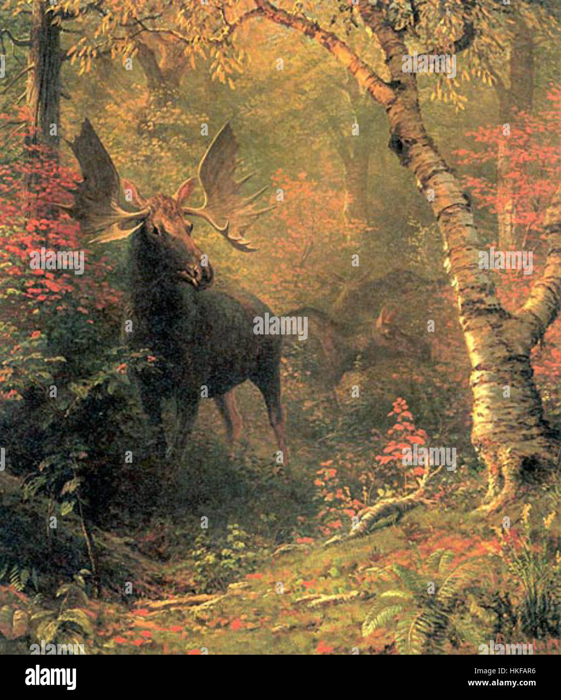 Alci in una foresta Glen olio c.1885 Albert Bierstadt Foto Stock