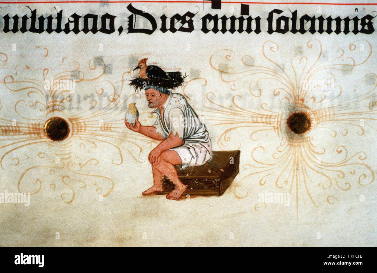 Il dipinto intitolato "Wiedehopf" ritrae l'Hoopoe europeo, noto per la sua caratteristica corona di piume. L'opera d'arte cattura gli intricati dettagli dell'uccello, mostrando l'abilità dell'artista nel rendere la bellezza della natura. Rappresenta un periodo di arte storica naturale, mettendo in risalto i dettagli raffinati della specie. Foto Stock