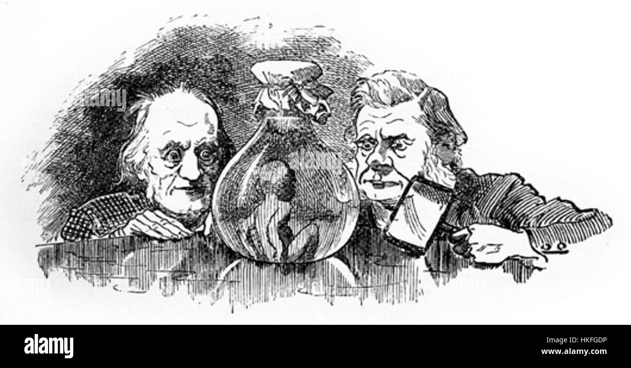 Un'opera d'arte che raffigura soggetti a tema acqua attraverso vari mezzi, tra cui dipinti ad olio, schizzi e stampe. L'arte enfatizza i dettagli e le tecniche più fini utilizzate per catturare gli elementi acquatici in uno stile vintage o antico. Tipicamente ospitate in musei e gallerie, queste opere d'arte offrono uno sguardo sul design storico e sui oggetti da collezione. Foto Stock