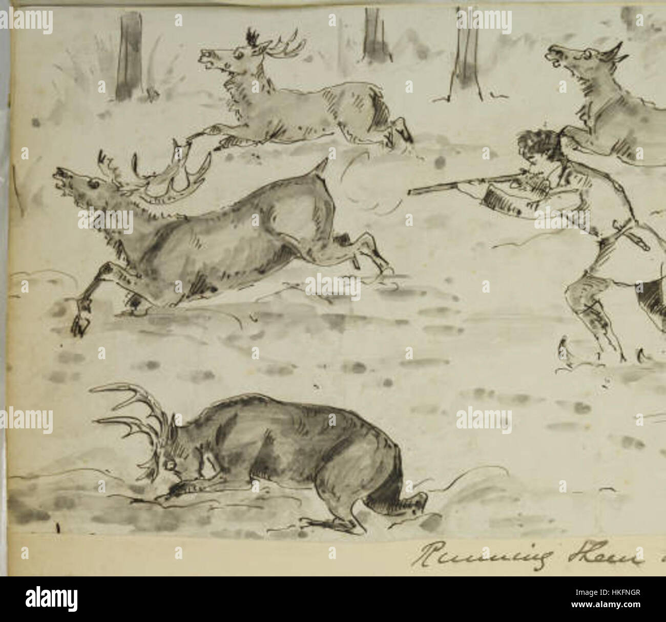 Running Them Down è un'opera d'arte di Cecil Aldin, che raffigura una scena dinamica di cani in movimento. Disponibile come poster con disegno a parete 11x14, cattura lo stile caratteristico di Aldin e l'attenzione ai dettagli. Foto Stock