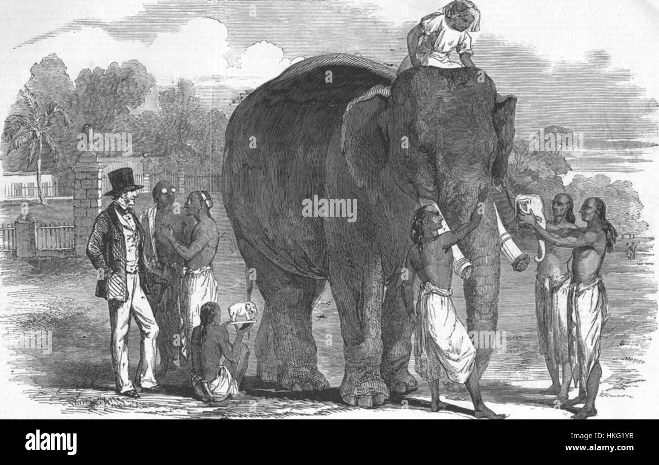 Un dipinto che presenta l'arte della modellazione di figure in avorio da un elefante vivente a Berhampoor, presentando l'artigianalità e l'abilità coinvolte nella creazione di sculture, enfatizzando l'arte tradizionale indiana. Foto Stock
