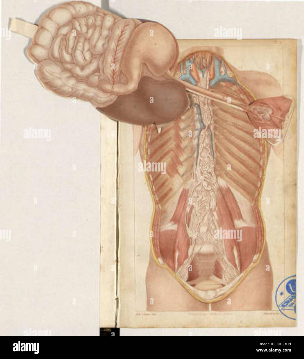 "Lupi su un sentiero" di A.J. Comte Annedouche, un dipinto ad olio raffigurante lupi che attraversano un sentiero forestale. Foto Stock