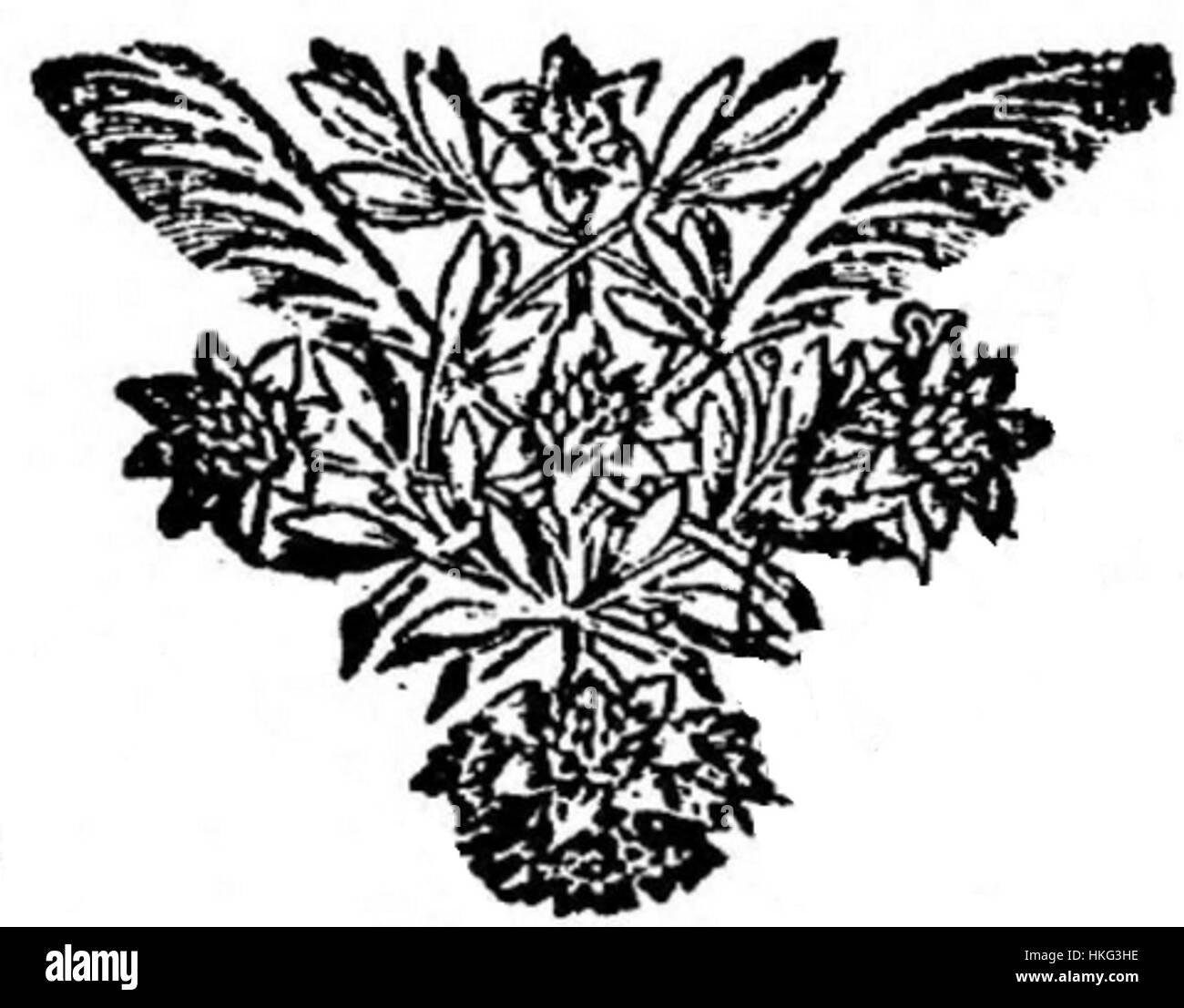 Dipinto intitolato "Coriolan Abeille Garde", raffigurante una scena militare storica con soldati in uniforme. Foto Stock