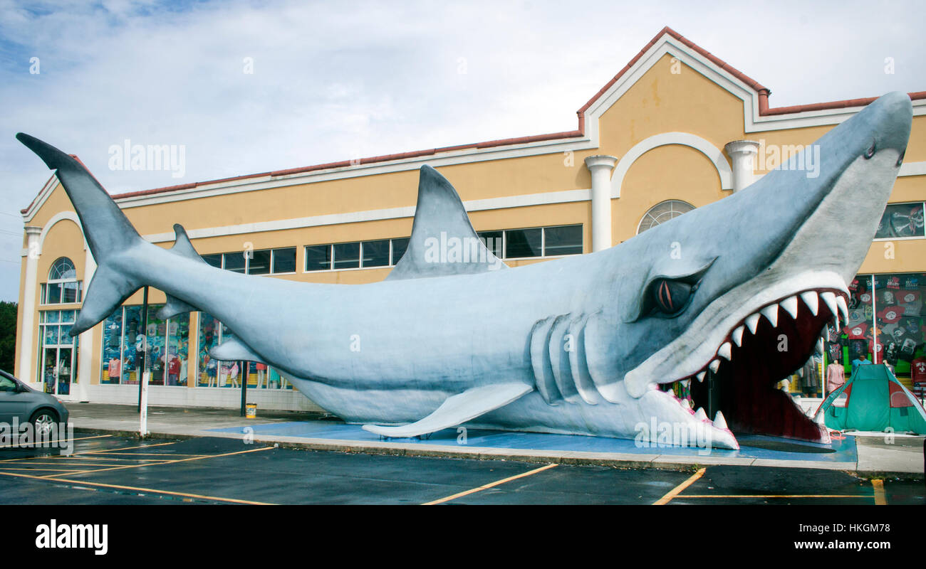 Un gigantesco squalo incombe su un negozio di surf a Sneads Ferry, North Carolina, creando un'audace attrazione costiera lungo la strada e facendo una sosta fotografica. Foto Stock