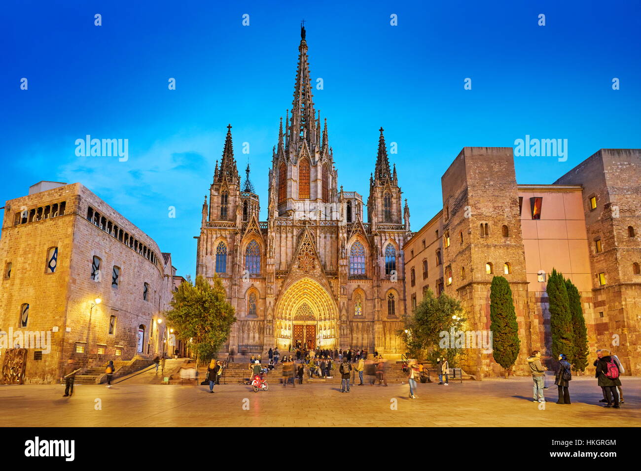 La cattedrale di Barcellona alla sera, Barri Ghotic trimestre, Catalogna, Spagna Foto Stock