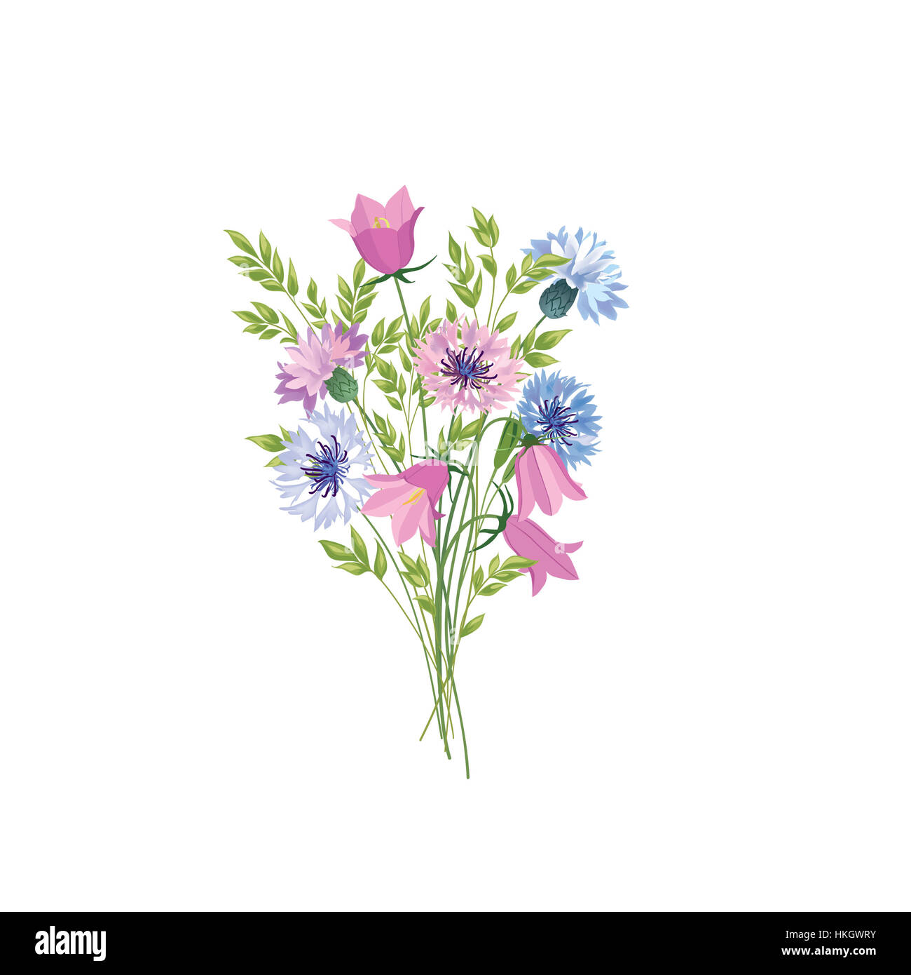 Fiori isolati. floreali bouquet estate. prato natura con decor e bluebells cornflowers blu Foto Stock
