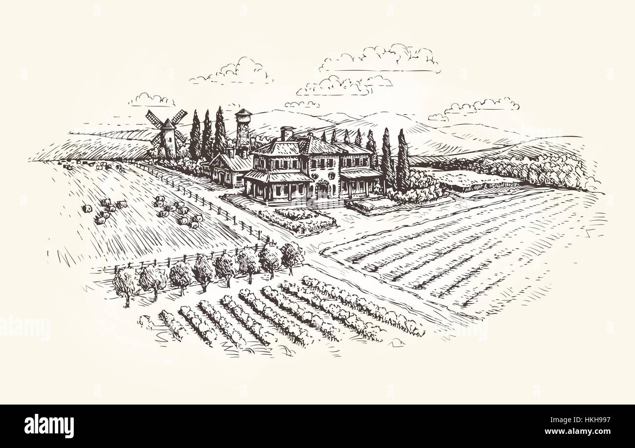 Agriturismo, agricoltura o vigneti sketch. Illustrazione Vettoriale Illustrazione Vettoriale