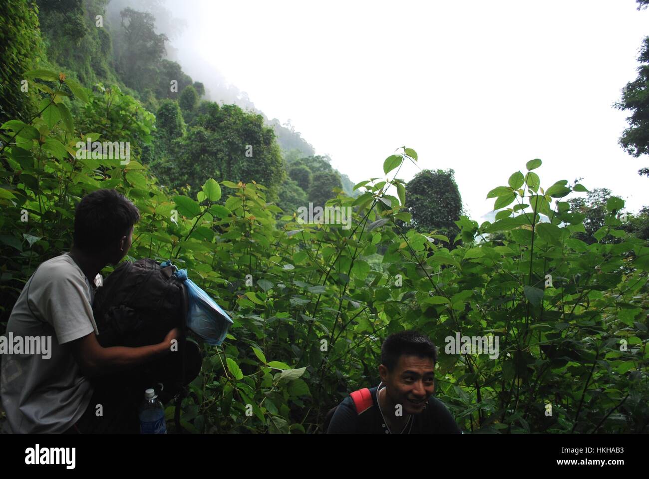 Valle Dzukou Nagaland a nord est dell India Foto Stock