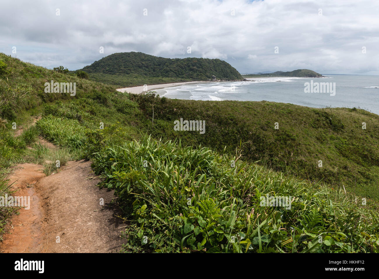 Percorso attraverso la vegetazione tropicale alla spiaggia Praia do Miguel, Ilha do Mel, Paraná, Brasile, Sud America Foto Stock