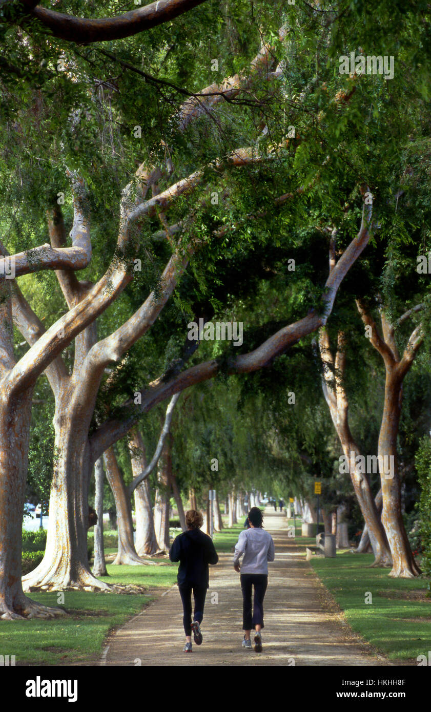 La gente di jogging sul viale alberato percorso nel parco adiacente alla Santa Monica Blvd. in Beverly Hills, in California Foto Stock