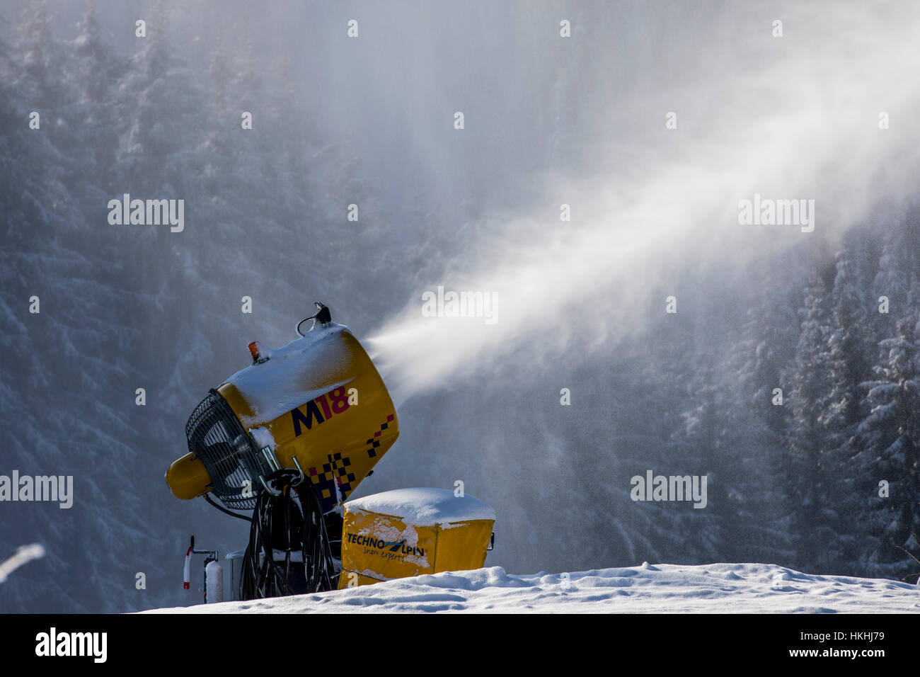 Tempo in inverno la zona di Sauerland, Germania, coperta di neve foresta, vicino Altastenberg, generatore, neve pistola, innevamento artificiale, Foto Stock