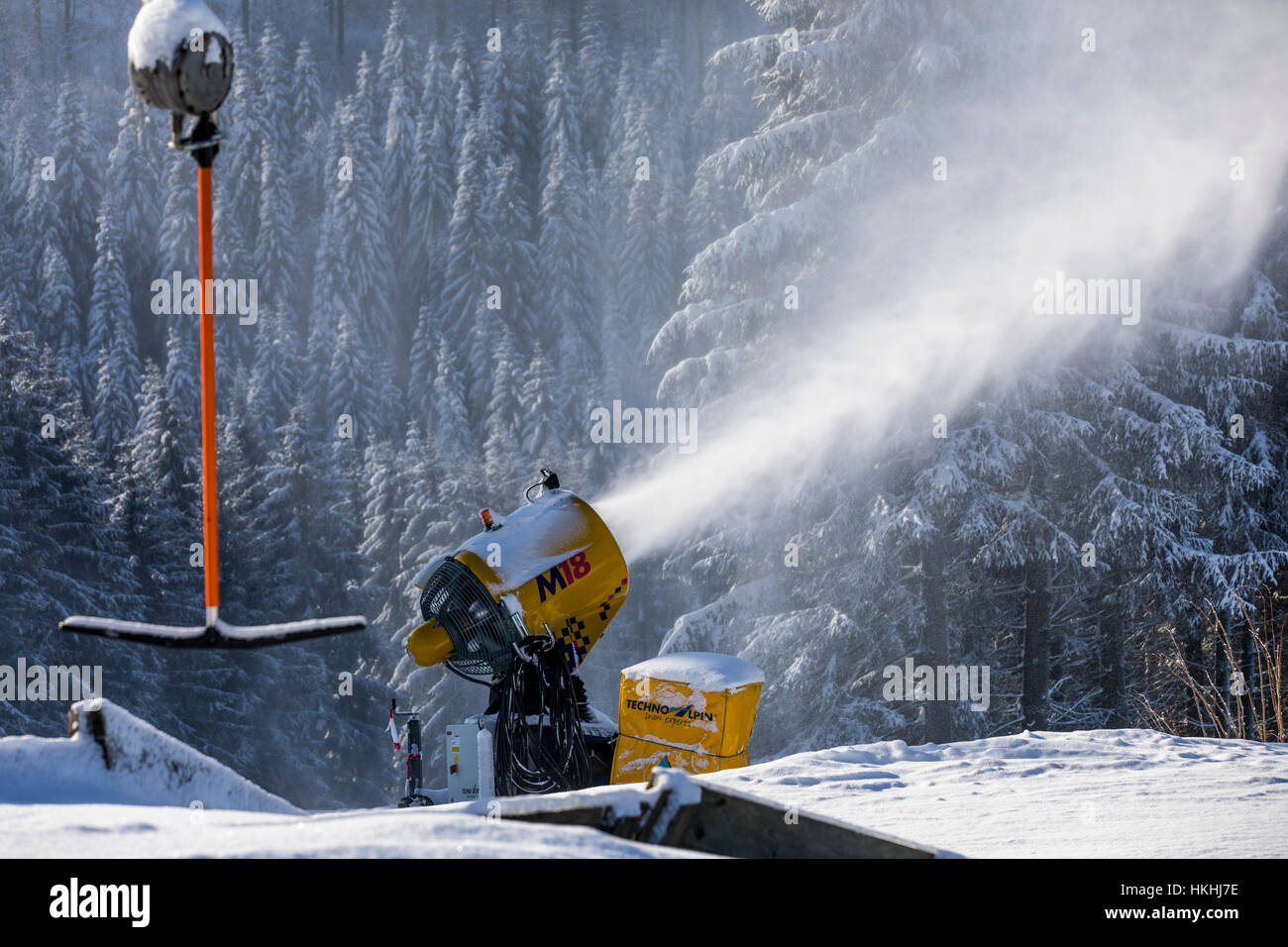 Tempo in inverno la zona di Sauerland, Germania, coperta di neve foresta, vicino Altastenberg, generatore, neve pistola, innevamento artificiale, Foto Stock