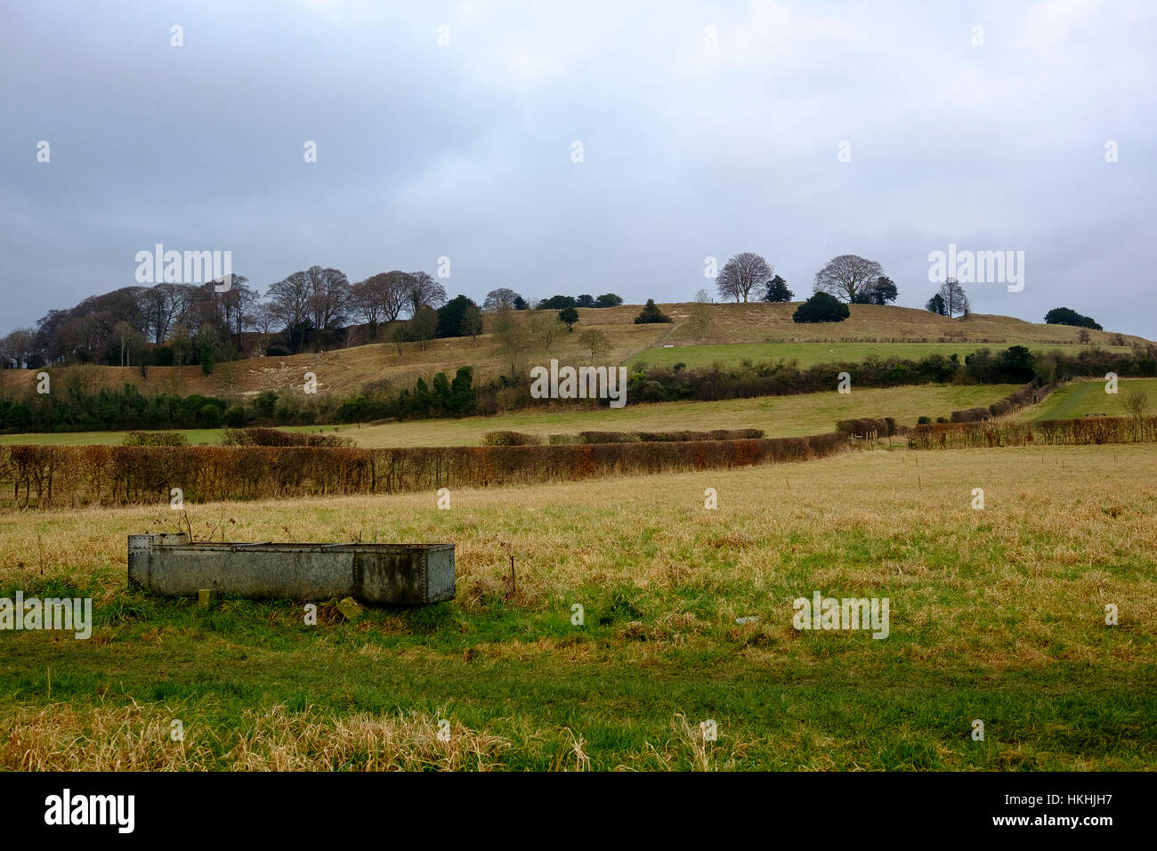 I campi appena al di sotto della Old Sarum hill fort al di fuori di Salisbury dove il "Parlamento Tree' una volta sorgeva Foto Stock