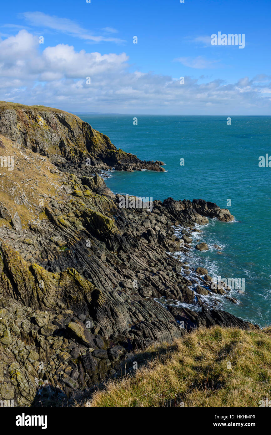 Scogliere lungo la costa di Solway vicino all isola di Whithorn, Wigtonshire, Dumfries & Galloway, Scozia Foto Stock