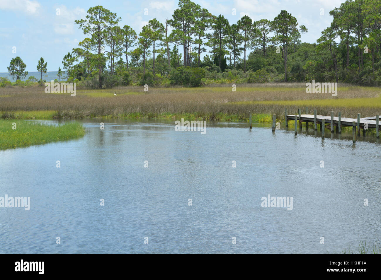 Fiume che scorre in un prato di St George Suono, Florida. Foto Stock