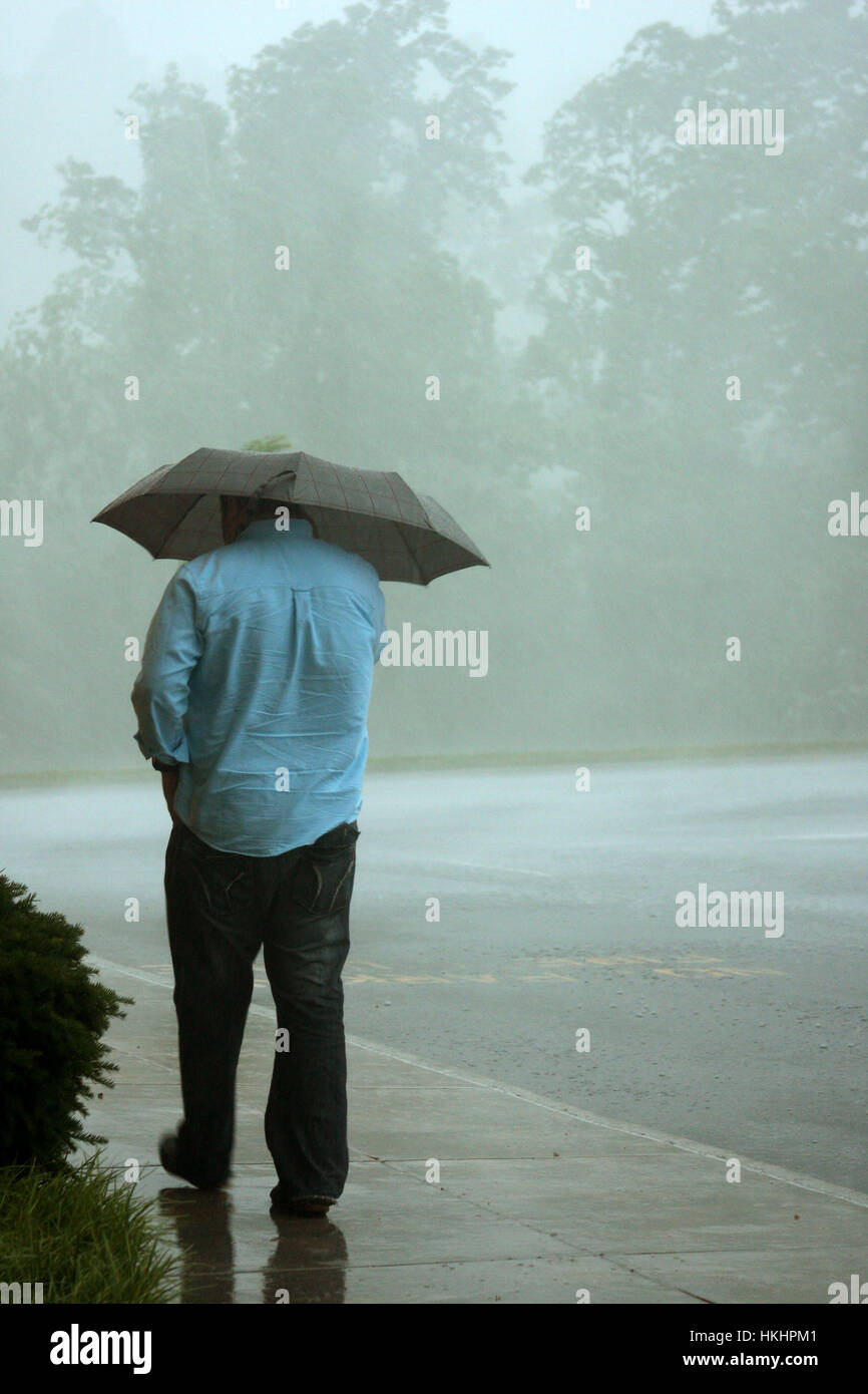 Uomo Con Ombrello A Piedi Sotto La Pioggia Foto Stock Alamy