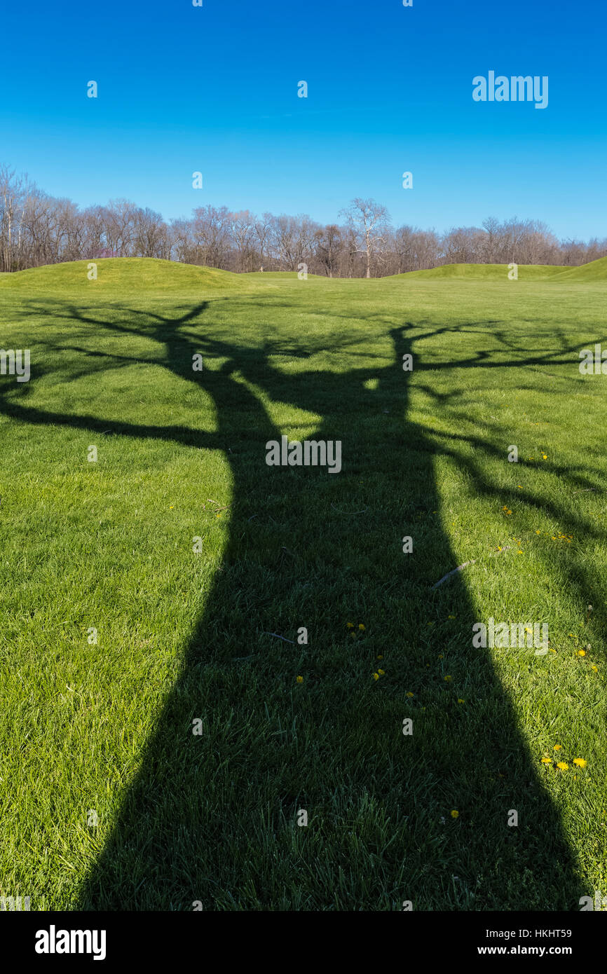Ombre di albero che attraversa il paesaggio del Tumulo città di gruppo, dove una civiltà di inizio gli indiani americani hanno prosperato circa duemila anni fa, ora preserv Foto Stock