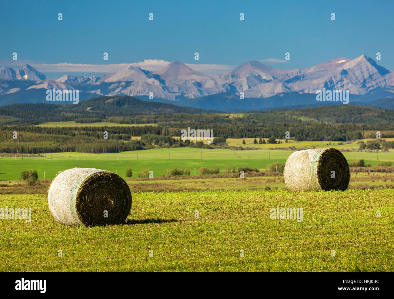 Due grandi round balle di fieno in un campo di taglio con colline ondulate, la gamma della montagna e cielo blu in background, a ovest di Calgary, Alberta, Canada Foto Stock