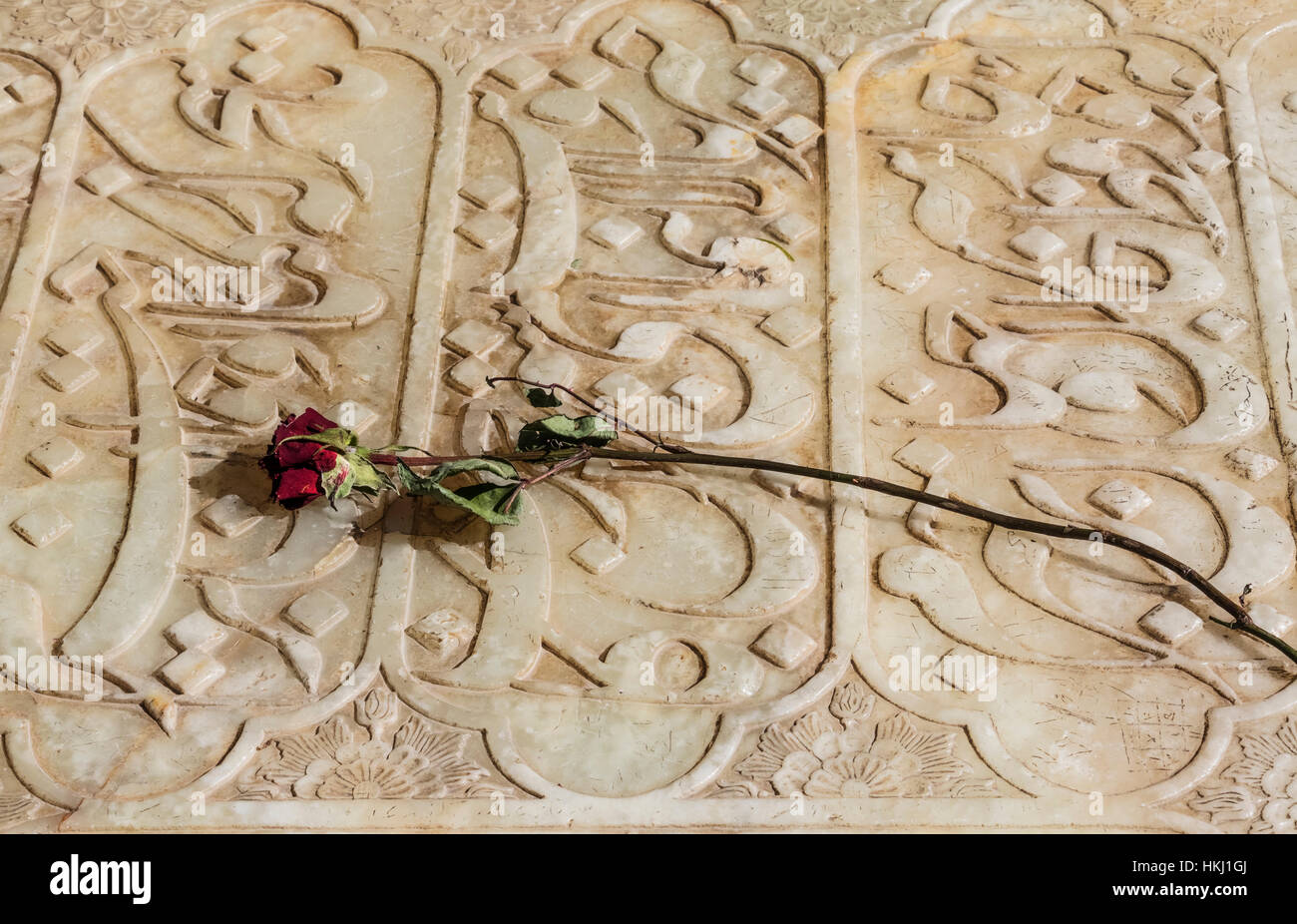 Rose sulla tomba del XIV secolo del poeta Khajeh Shamseddin Mohammad Hafiz Shirazi, situato in giardini Musalla; Shiraz, far Provincia, Iran Foto Stock