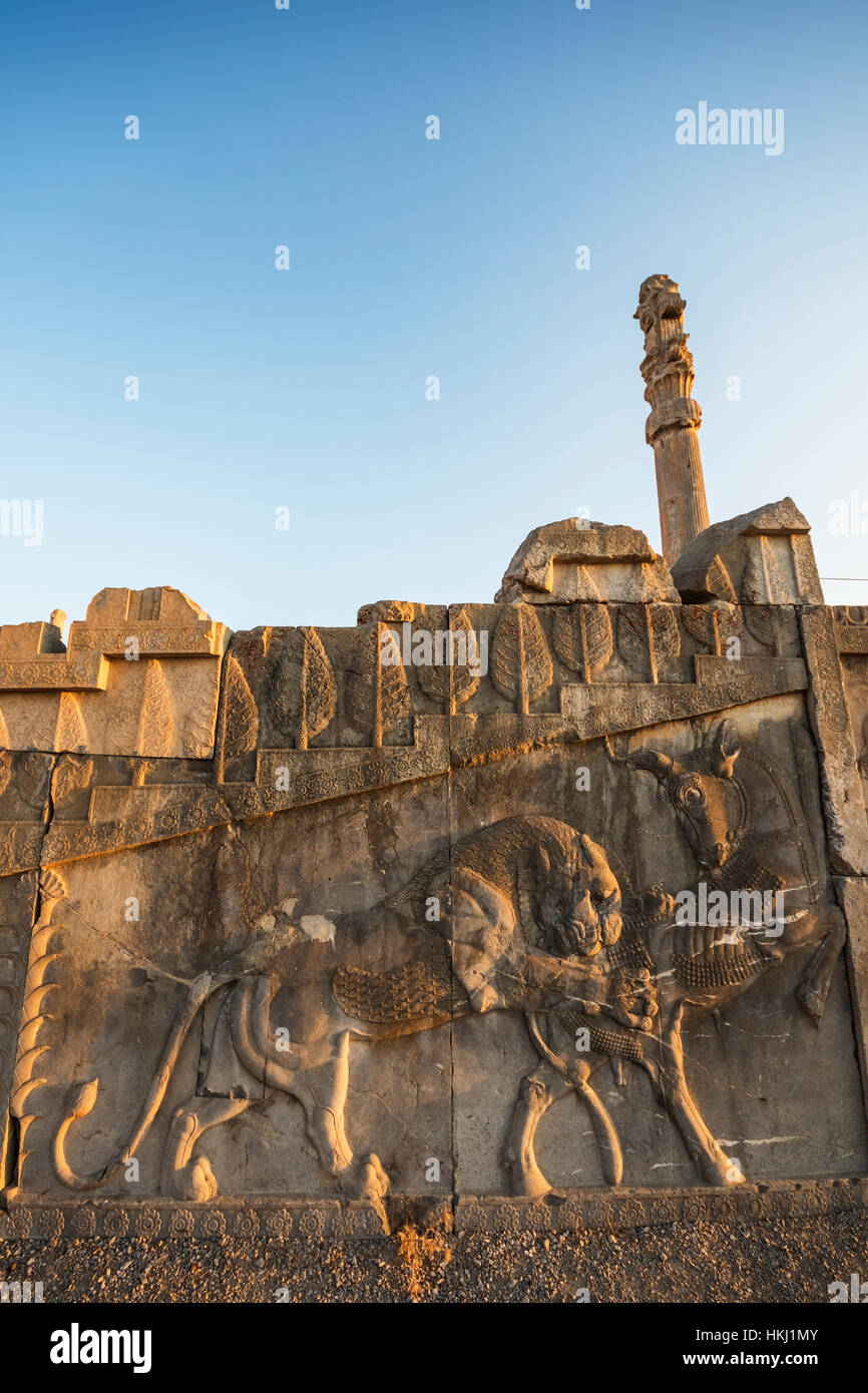 Il bassorilievo di un leone divorando una bolla sulla scalinata del sud del Palazzo di Dario I (Tachara), Persepolis; Far Provincia, Iran Foto Stock