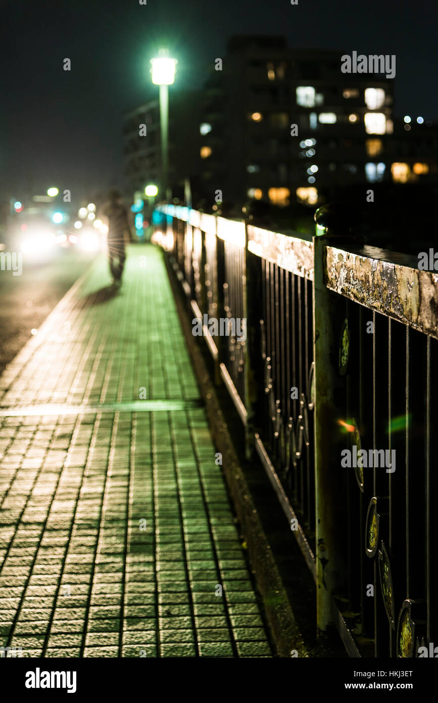 Ponte Shinden, Sumida River, Tokyo, Giappone Foto Stock