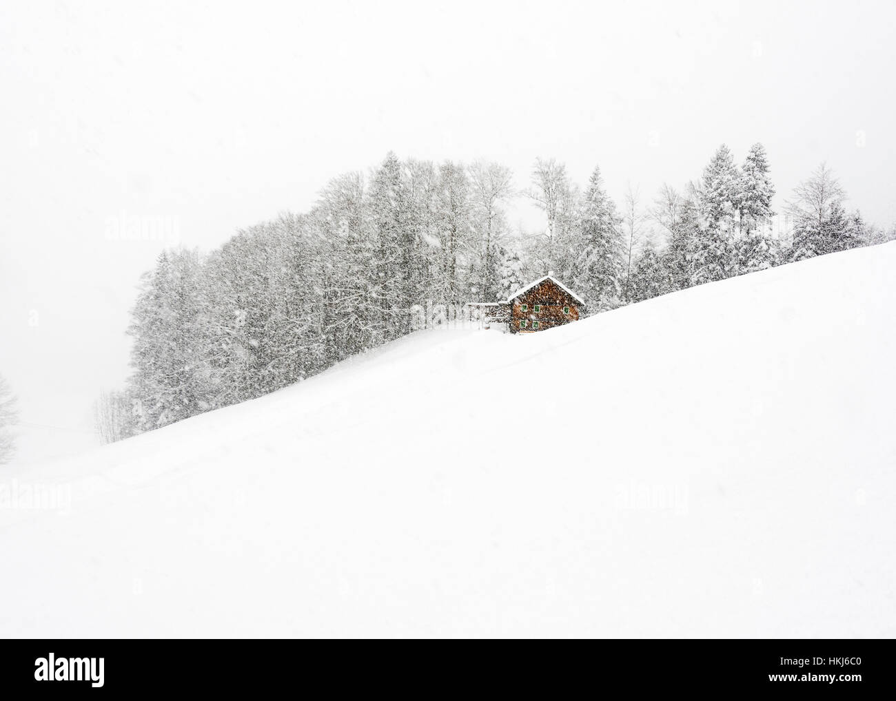 Rifugio di montagna di fronte bosco invernale, fitta nevicata, Hittisau, Foresta di Bregenz, Vorarlberg, Austria Foto Stock