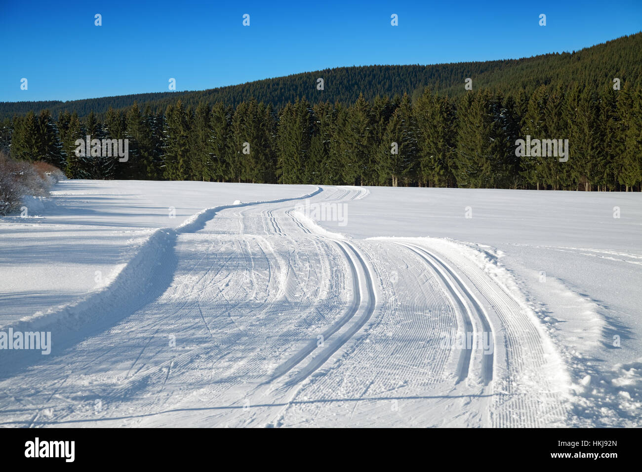 Paesaggio invernale con una variante di piste di sci di fondo Foto Stock