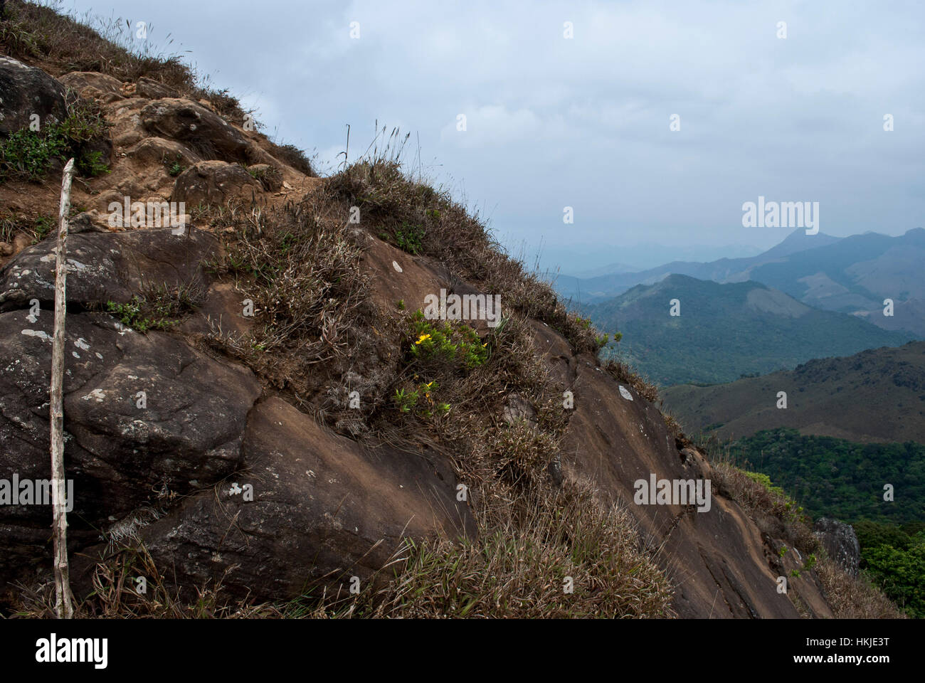 Thadiyandamol, Coorg Foto Stock