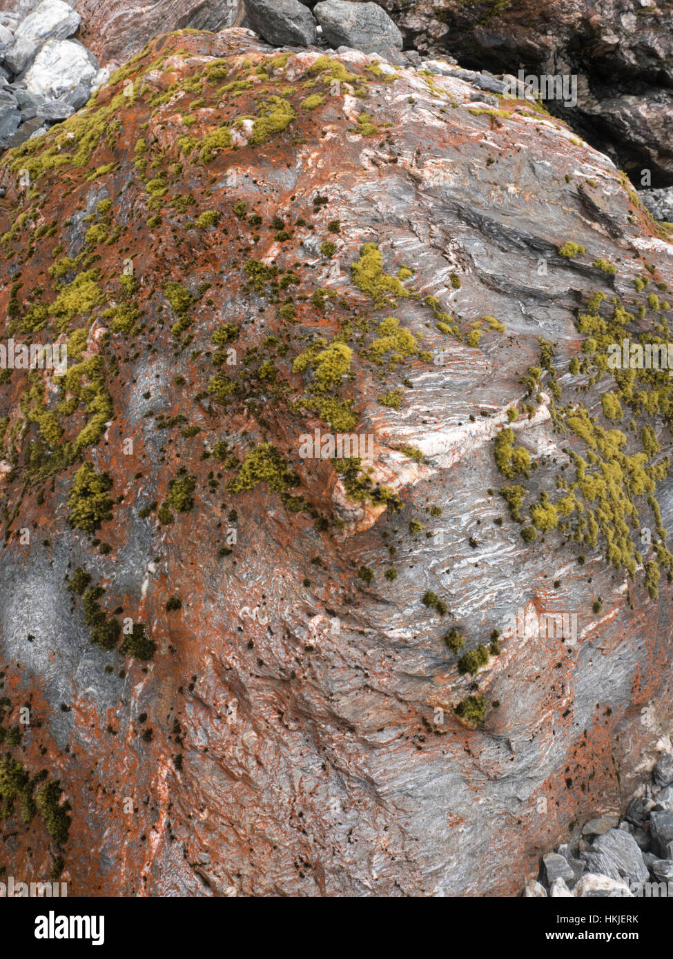 Moss su murrain glaciale rock Foto Stock
