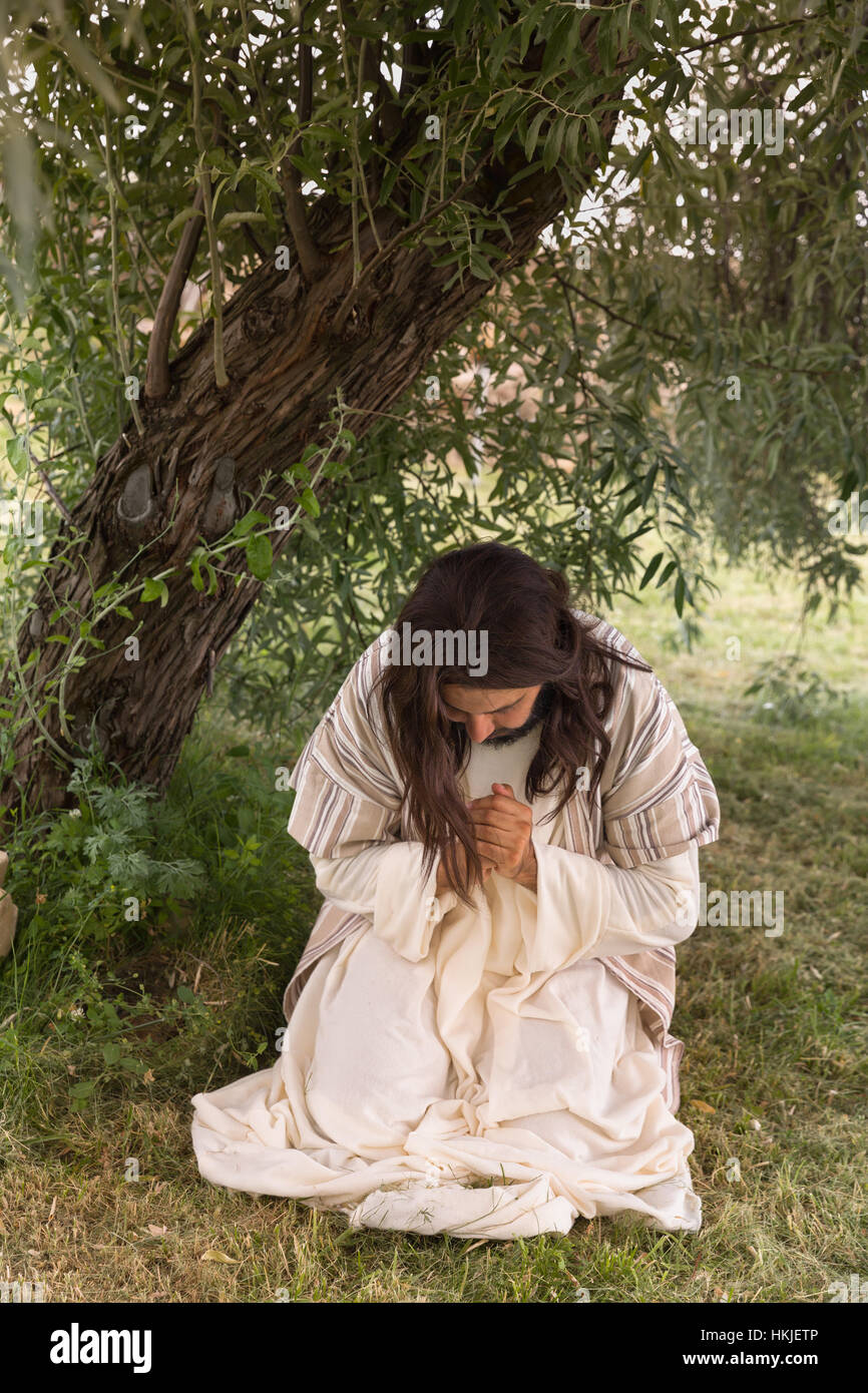 Gesù in agonia prega nel giardino delle olive prima della sua crocifissione Foto Stock