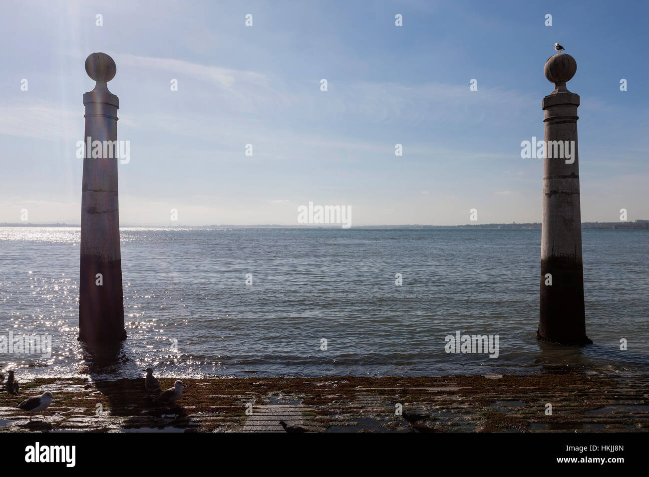 Gabbiani ad argine, fiume Tago a Lisbona, Portogallo Foto Stock